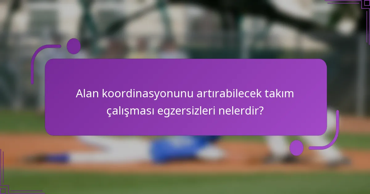 Alan koordinasyonunu artırabilecek takım çalışması egzersizleri nelerdir?